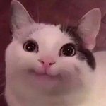 판<b>녀</b>들아 <b>짝</b><b>남</b>한테 뭐라 보낼지 ㅊㅊ좀