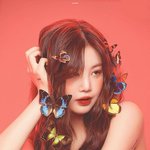 짤하나 <b>수진</b>
