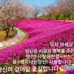 [NCT즌] 다들 행복하자
