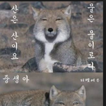 <b>옆방</b>사람이 얏옹 동영상을 좋아하는듯