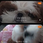 [세븐틴] ㅅㄷ 갤러리 정리하다가 <b>지하철</b>에서 웃겨서 죽을뻔