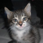 야 고3 너네 <b>변비</b> 없냐