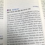 흐아ㅏㅏㅏㅏ ㅅㅂ 영어 이거 <b>정답</b> 뭐임