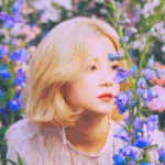<b>트</b>페미 꺼져 <b>여</b>돌로 정화하자