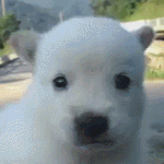 야 심심한데 오픈톡할사람 <b>컴컴</b>