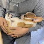 강아지처럼 <b>안기</b>네 폭~