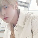 [NCT즌] 씨방봉 금<b>손들</b>...