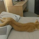 이 아이돌 누군지 아는 사람 와보<b>셈</b>
