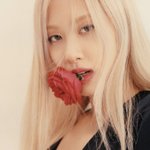 와 근데 로제.....