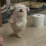 [드루와] 근데 동남아 보고 똥<b>남아</b> 거리는 애들