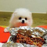 <b>더비</b>들