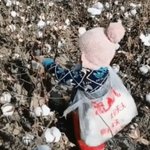 중국인 멤버가 직접 <b>sns</b> 올린거든 아니든 뭐가 <b>문제</b>냐?