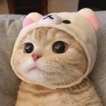 [<b>설문</b>부탁해] 어???? <b>설문</b>해주면 애인 생긴다는데???!!!!