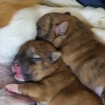 내이름은이태식