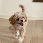 [드루와] 울학교에 전학온 애 인스타<b>스탄</b>데