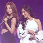 짤하나 슬기 <b>화사</b>