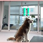 [킴모카] 힐링 킴모카