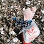 [NCT즌] 이건 좀 에바인데