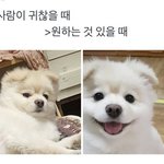 [드루와] 나 네달동안 13kg빼고 유지중임