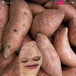 아씨 이태용 <b>인라</b> 미쳣나봐