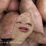 [NCT즌] <b>필터</b>를 바꾸라는 외퀴소리 따위
