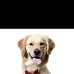 [댓글부탁해] <b>yg</b> 다시 살려도 되는거냐? 묻고 싶다 + 사칭이라하면...