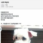 [드루와] 우리반 담임쌤 ㅈㄴ 어이없음 정시로 가는게 좋다면서