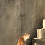 모고 <b>오답</b>노트 써오라는데..