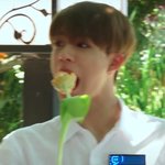 [NCT즌] 망상판 글 링크 모음 올릴까