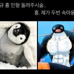 [MOA] 짤털함