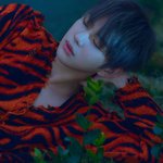 [강다니엘] 미니앨범 <b>옐로우</b> 컨셉포토2