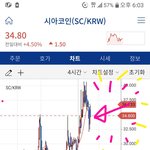 [코인] 어제 오후6시의 시아코인 <b>존버</b> 8일째?