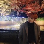 비투비 이민혁 남친짤