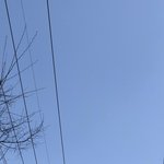 [무한분열] ㅅㄷ 와 <b>날씨</b>봐