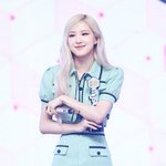 로제가 스탭들한테 받은 선물