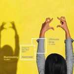 [방탄소년단] 이번 앨범 커버색