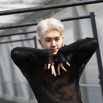 [세븐틴] 좀 뜬금없는데