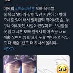 ㅏ <b>세훈</b> 목격담 개웃곀ㅋㅋㅋ
