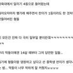[세븐틴] '내 편 12명' 진짜 세상 무엇보다도 부러움
