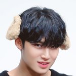 [세븐틴] 김<b>밍구</b>는