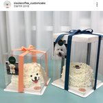 [세븐틴] 가위앱