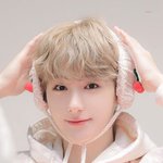 <b>은은</b>하게 빛나는 인간 벚꽃 아이돌