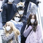 <b>리사</b> 이거 언제임?