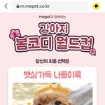 [이것좀봐줘] 강아지월드컵이래 개귀여움ㅌㅋㅋ