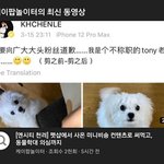 [NCT] 대갈이 동물<b>학대</b>