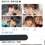 [세븐틴] 호랑해 근데