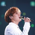[세븐틴] 난 내가 쓰고 싶은 글 쓸란다