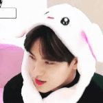 [세븐틴] <b>말티쥬</b>야ㅠㅠㅠㅠ