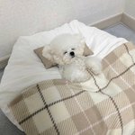 [NCT즌] <b>잘</b><b>자</b> 애들아