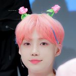 [더보이즈] 째짜니 핑머 원해요